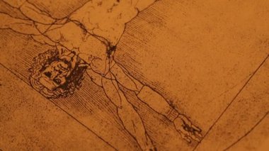 Anatomy art